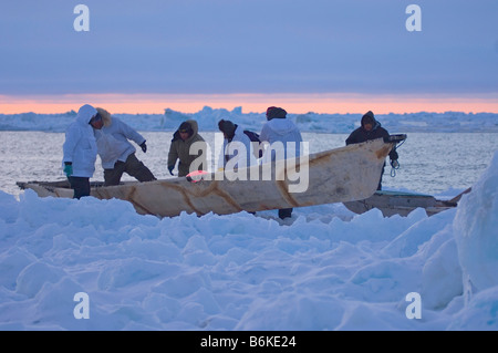 Inupiaq whaling crew pulls their seal skin boat or umiak up onto the pack ice after paddling after whales in an open lead Stock Photo