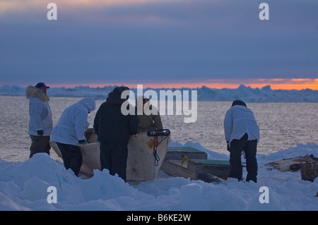 Inupiaq whaling crew pulls their seal skin boat or umiak up onto the pack ice after paddling after whales in an open lead Stock Photo