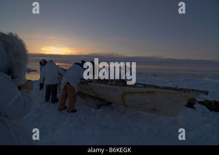 Inupiaq whaling crew pulls their seal skin boat or umiak on a sled to move camp off an open lead in the pack ice Chukchi Stock Photo