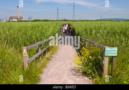 Loating Reed Beds Floating pontoon walkway crossing reed beds at Newport Wetlands ...