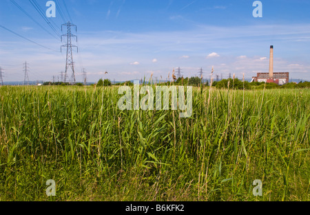 View over reed beds toward power station at Newport Wetlands National Nature Reserve South Wales UK Stock Photo