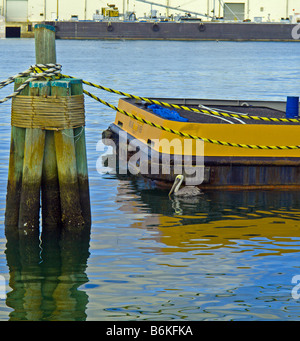 A BROWN PELICAN IN PORT CANVERAL NEXT TO THE TUG INDIAN RIVER ON THE EAST COAST OF FLORIDA Stock Photo