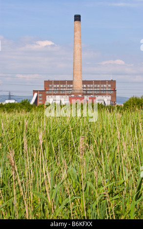 View over reed beds toward power station at Newport Wetlands National Nature Reserve South Wales UK Stock Photo