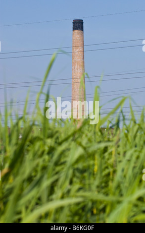 View over reed beds toward power station at Newport Wetlands National Nature Reserve South Wales UK Stock Photo