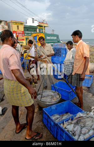 FISH MARKET IN KANYAKUMARI Stock Photo