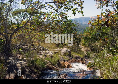 Cachoeiras Rio Cristal Chapada dos Veadeiros Veadeiros Tableland Goias Brazil Stock Photo