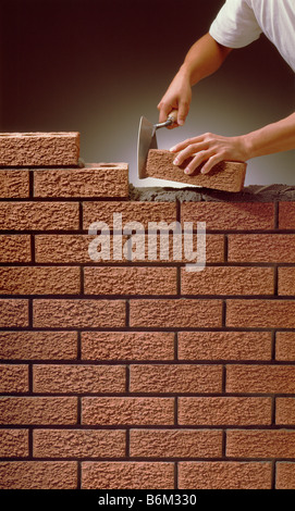 Bricklayer building Wall. Stock Photo