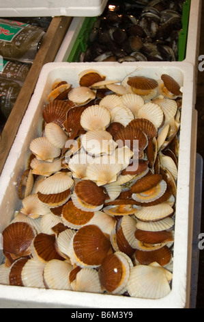 Scallops for sale at Tsukiji shijo fish market Tokyo Japan seafood Stock Photo