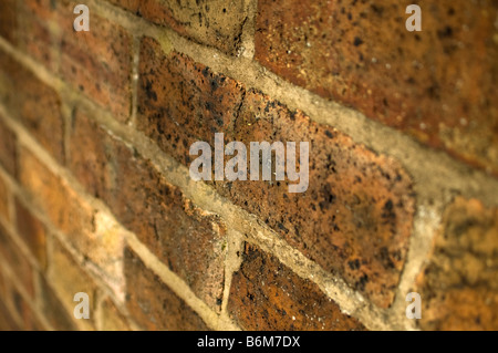Brick wall Stock Photo