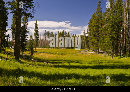 YELLOWSTONE NATIONAL PARK WYOMING USA Riddle Lake area