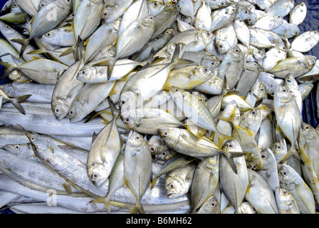 FISH MARKET IN KANYAKUMARI Stock Photo