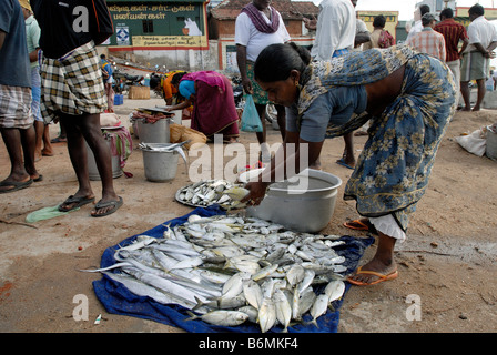 FISH MARKET IN KANYAKUMARI Stock Photo