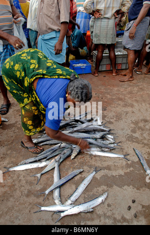 FISH MARKET IN KANYAKUMARI Stock Photo