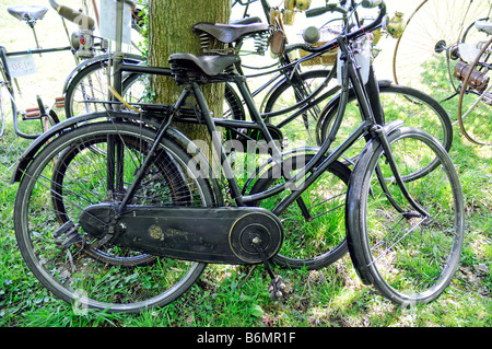 Veteran cycles at Buckler s Hard Beaulieu Hants cycles leaning against a tree Stock Photo