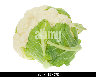 fresh cauliflower isolated on a white background Stock Photo