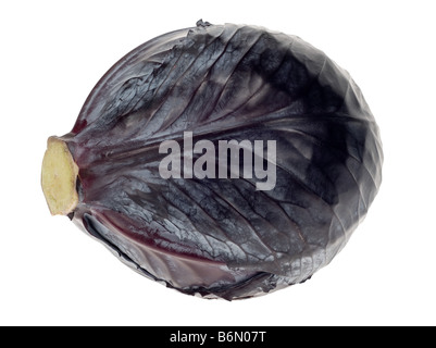 fresh red cabbage isolated on a white background Stock Photo