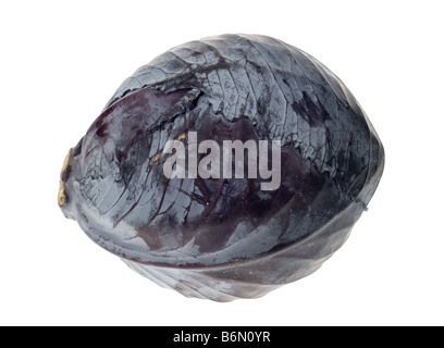 fresh red cabbage isolated on a white background Stock Photo
