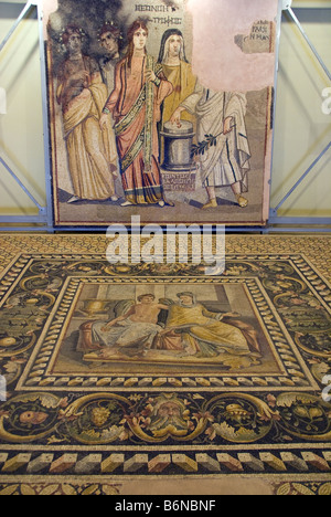 Gaziantep Museum, Roman city of Zeugma Mosaics at entrance Stock Photo