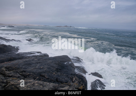 Luderitz Peninsula,Diaz Point,Grosse Bucht, Namibia, SW Africa. Stock Photo