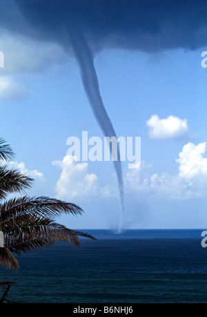 Tornado in the National Park of Circeo in Italy Stock Photo