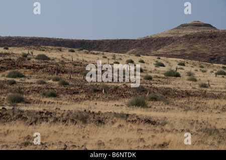 Palmwag, Lodge,Uniab River, NorthWest Damarland,Namibia Stock Photo