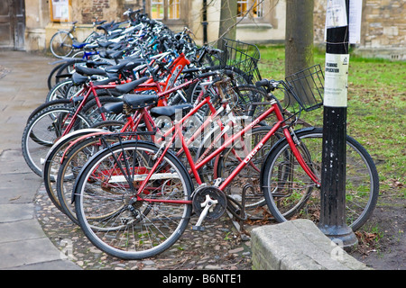 A row of bicyles locked up in Cambridge outside a university building Stock Photo