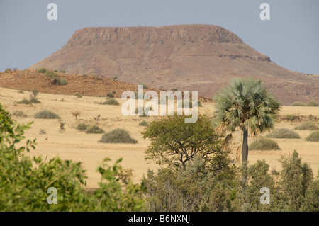 Palmwag, Lodge,Uniab River, NorthWest Damarland,Namibia Stock Photo