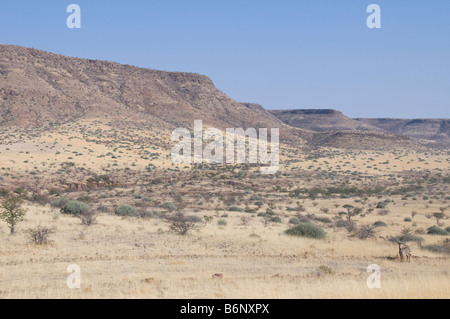 Palmwag, Lodge,Uniab River, NorthWest Damarland,Namibia Stock Photo