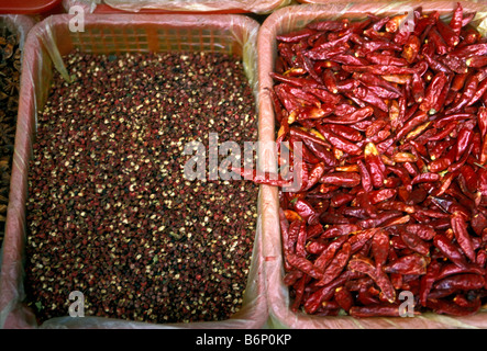 red chili peppers, vendor, open-air market, market, Puhuangyu market, city of Beijing, Beijing, Beijing Municipality, China, Asia Stock Photo