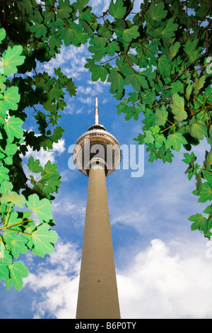 Tv Tower Stock Photo