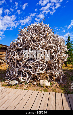 Image of a huge pile of deer antlers stacked up between buildings at the Old Trail Town in Cody Wyoming Stock Photo