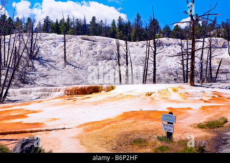 Image looking of Angel Terrace and the park sign with it at Mammoth Hot Springs in Yellowstone National Park Stock Photo