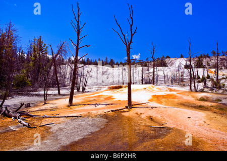 Image looking at some of the rock features of Mammoth Hot Springs in Yellowstone National Park Stock Photo