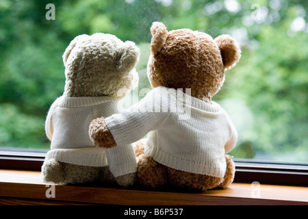 Two teddy bears sitting on window sill looking at view Stock Photo