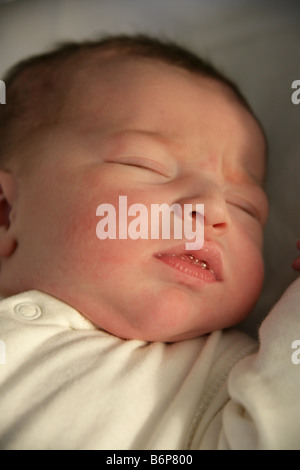 Portrait of a newly born baby girl asleep still in hospital a few hours after birth. Stock Photo