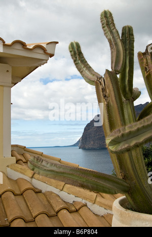 A tiled Spanish roof top, a cactus with the cliffs of Los Gigantes in the background. Tenerife. Canary Islands. Stock Photo