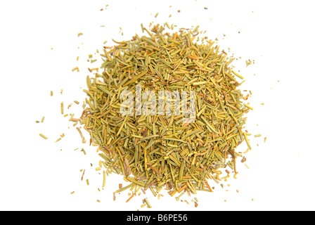 Rosemary Rosmarinus officinalis Stock Photo