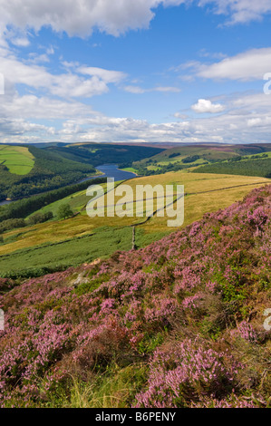 Whinstone lee tor Derwent edge Ladybower reservoir Derbyshire Peak District national Park Derbyshire England UK GB EU Europe Stock Photo