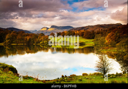 Autumn view over Loughrigg Tarn Lake District National Park Cumbria England UK with the Langdale Pikes in the distance Stock Photo