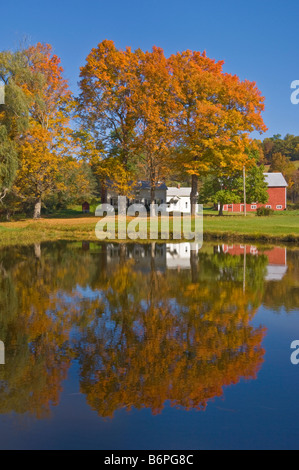 Autumn colours surrounding a farmhouse and traditional red barn Bennington county Vermont USA United States of America Stock Photo