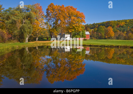 Autumn colours surrounding a farmhouse and traditional red barn Bennington county Vermont USA United States of America Stock Photo