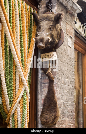 Wild boar's head outside a famous shop in Siena, Tuscany, Italy. The shop sells porchetta which is roast pork, Italian style. Stock Photo