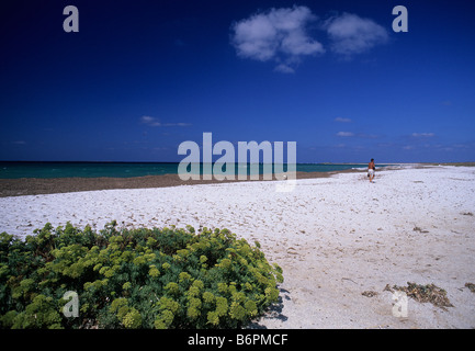 Spiaggia Isa Arutas Oristano Sardegna paesaggi mare Stock Photo