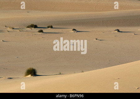 Little Sahara sand dunes Stock Photo