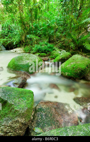 Wurumbu Creek is a small stream in the Mossman Gorge section of Daintree National Park, Queensland, Australia Stock Photo