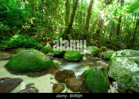 Wurumbu Creek is a small stream in the Mossman Gorge section of Daintree National Park, Queensland, Australia Stock Photo