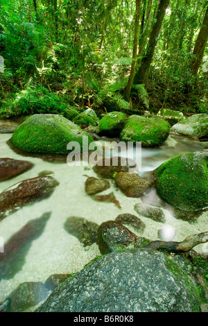 Wurumbu Creek is a small stream in the Mossman Gorge section of Daintree National Park, Queensland, Australia Stock Photo