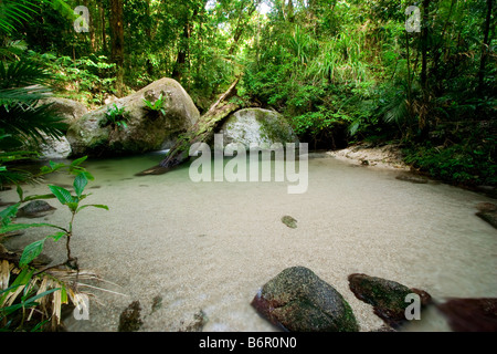 Wurumbu Creek is a small stream in the Mossman Gorge section of Daintree National Park, Queensland, Australia Stock Photo