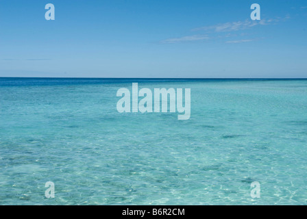 Clear shallow turquoise coloured water over a coral reef, and blue sky, in the Maldives