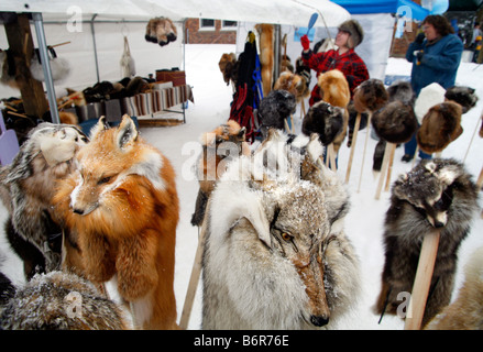 Fur hat for sale at a winter festival in Land O Lakes Wisconsin Stock Photo